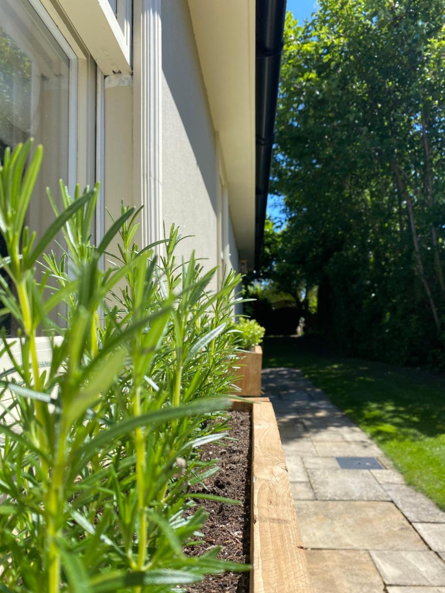 Enchanting 1 Bedroom Home With Kitchen Saffron Walden Exterior photo